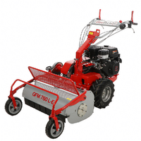 GeoTech Pro GFM 760 L-E - Trinciaerba professionale a martelli - Loncin G420FD