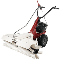 Eurosystems Minieffe - Motospazzatrice multifunzione con motore B&amp;S 450E