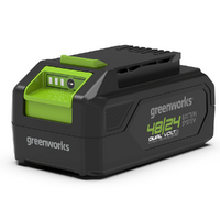 Batteria Greenworks 48/24 V G4824B2