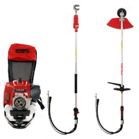 Blue Bird TJ 53 E - Scuotitore con gancio a scoppio cm 280 motore a zaino Kawasaki - Scuotiolive