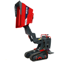Motocarriola cingolata RAPTOR 6800 HEDH - Honda GXe270