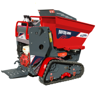 Motocarriola cingolata RAPTOR 6800 HED 4.0 - Honda GXe270