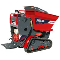 Motocarriola cingolata RAPTOR 7800 HED - Honda GXe390