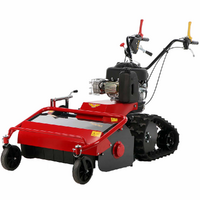 Meccanica Benassi TR 600 - Trinciaerba professionale a martelli - Cingolato - B&S 3105E