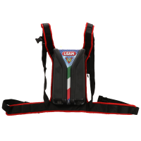Batteria litio a spalla Lisam da 12v 56Ah