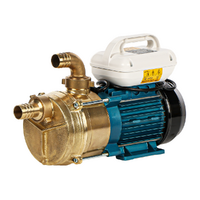 Tellarini EEM 40 - Pompa elettrica da travaso in ottone - Monofase - 230V