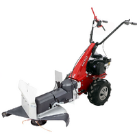 Eurosystems Minieffe M150 - Decespugliatore a ruote a benzina - B&amp;S 625 EXi
