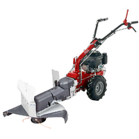 Eurosystems P55 - Decespugliatore a ruote a benzina - Loncin 196cc