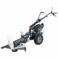 Eurosystems P55 - Decespugliatore a ruote a benzina - Honda GCVX 170