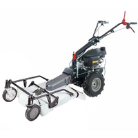 Eurosystems P55 - Trinciaerba a scoppio - Falciatutto PRO V2 - HONDA GCVX 170
