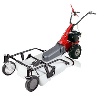 Eurosystems Minieffe M150 - Trinciaerba a scoppio - Falciatutto PRO V2 - B&amp;S 625 EXi