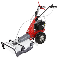 Eurosystems Minieffe RM - Trinciaerba a scoppio - Falciatutto PRO - B&amp;S 675 iSi