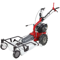 Eurosystems P55 EVO - Trinciaerba a scoppio - Falciatutto PRO V2 - B&S 675 iSi