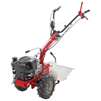 Eurosystems P55 EVO - Motocoltivatore benzina - B&amp;S 675 iSi