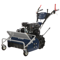 BullMach FALX 600 B&S - Trinciaerba a martelli - B&S CR950