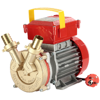 Rover BE-M 25 IP 55 - Pompa elettrica da travaso in bronzo con protezione IP55 - Monofase - 230V