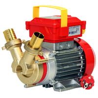 Rover 35 CE - Pompa elettrica da travaso in bronzo - Monofase - 230V