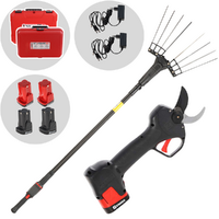 Zanon Kit Olive Light 2 - Abbacchiatore e forbice a batteria - Asta telescopica 210/340 cm - 4 x 14,4V 2,5Ah