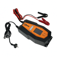Beta 1498H/25A - Caricabatteria mantenitore automatico - 12/24V