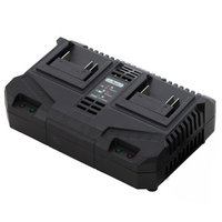 Caricabatterie doppio 20V - X-Line C-DUAL - GeoTech 