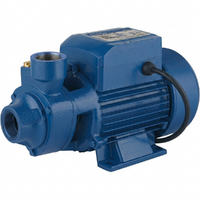 Hyundai QB60 - Elettropompa autoadescante da giardino con attacchi da 1" (25mm) - Acque chiare - 370 W