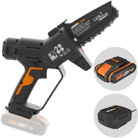 Worx WG326E - Potatore manuale a batteria - 20V 2Ah
