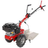 OUTLET - PICCOLI DIFETTI ESTETICI - Eurosystems P55 - Motocoltivatore benzina - Rato RV200
